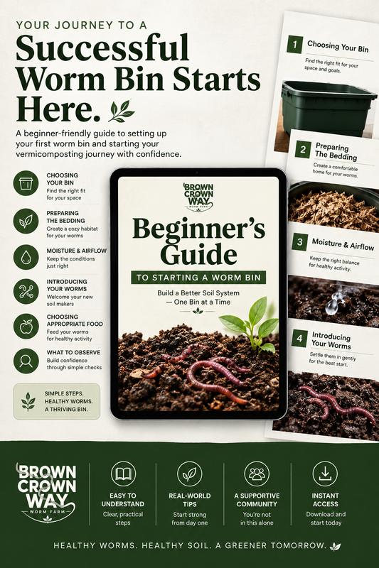 A Beginner's Guide to Starting a Worm Bin